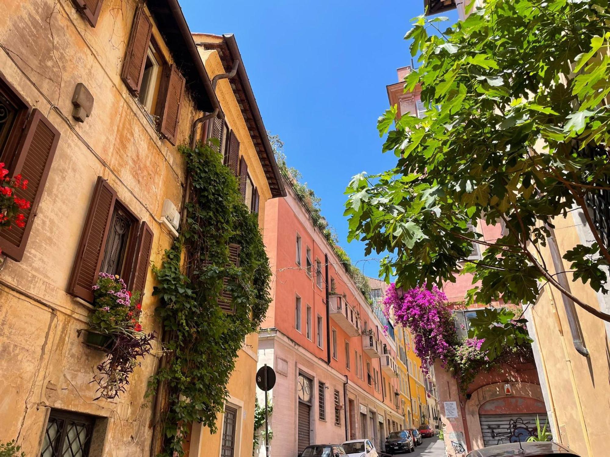 Design House Monti Rome