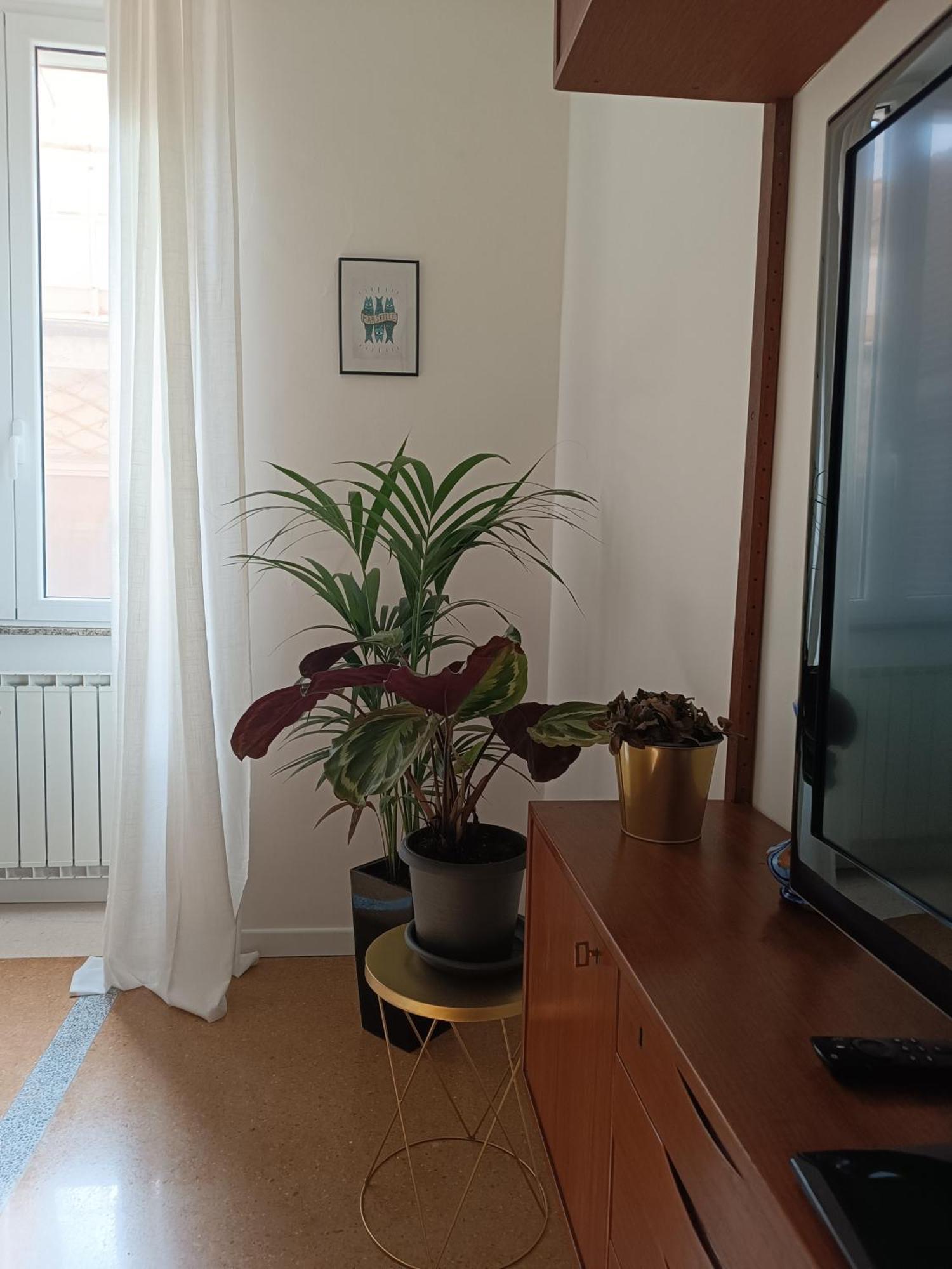 Appartamento Design House Monti Roma